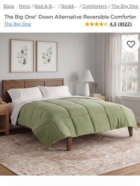 The Big One Light Sage Green Reversible Down Alternative Comforter